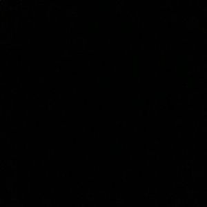 Meet your Posher, Maggie